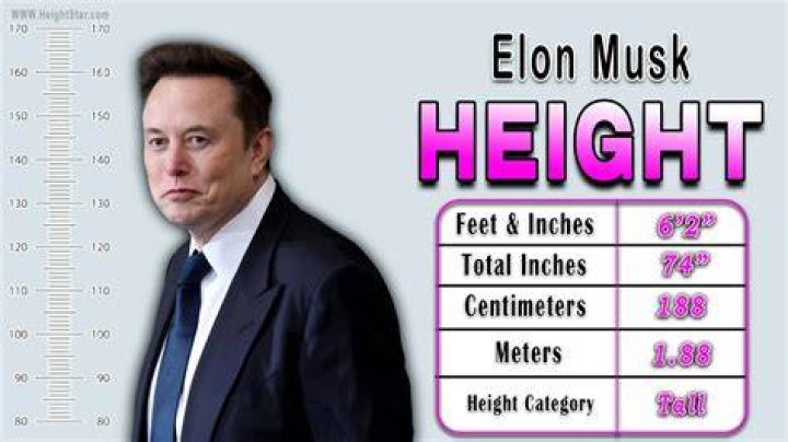 Discover Unveiled Secrets: Elon Musk's Height Explored