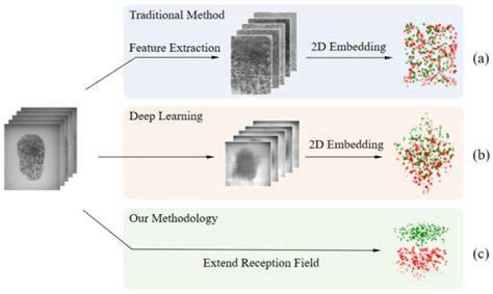 Father Fingerprint Extraction 0 &deg;. Download Scientific Diagram