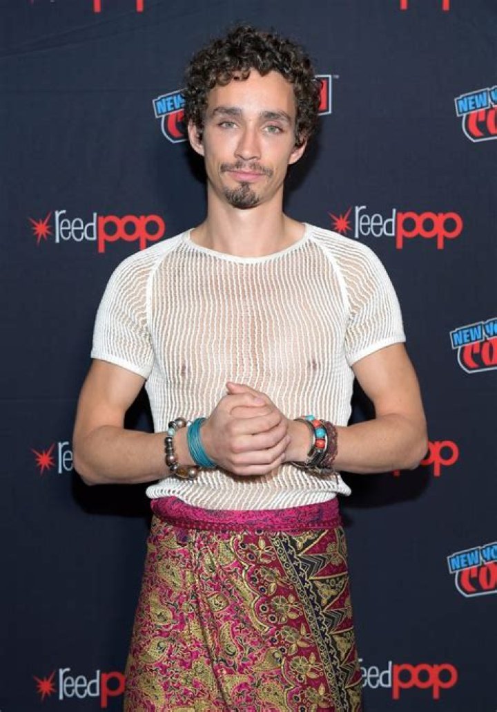 Robert Sheehan Age, Net Worth, Family, Partner, Movies & All Facts
