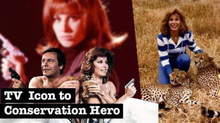 Stefanie Powers on her wildlife conservation and global adventures