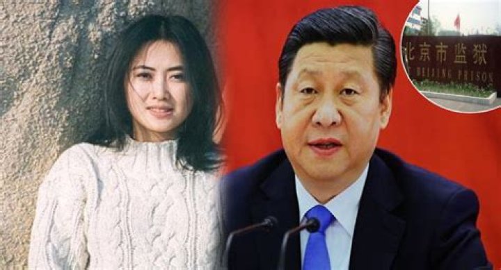 Unveiling The Enigmatic Xi Jinping's Daughter's Husband: Exclusive Insights