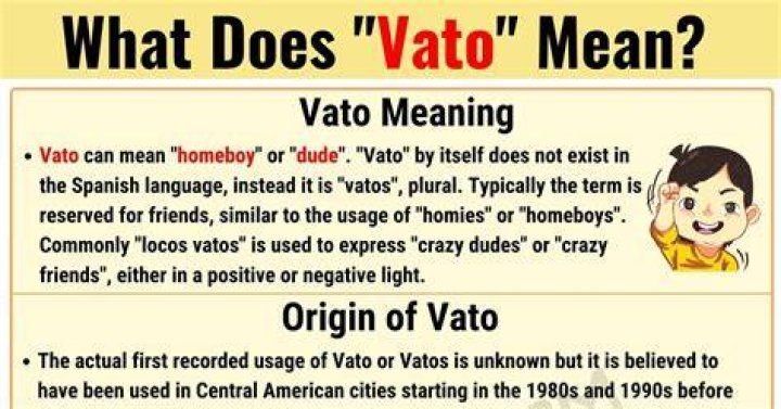 Vato Meaning What Does the Popular Term 'Vato' Mean? • 7ESL